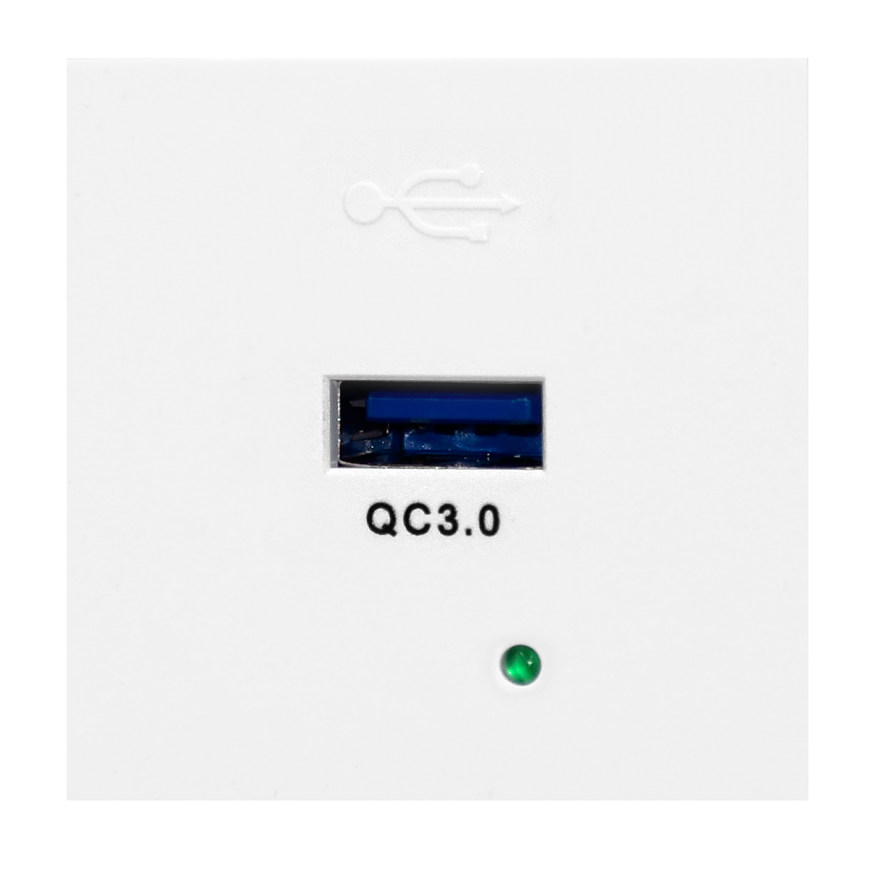 Orno NOEN USBQ, 45x45mm Modular Port
