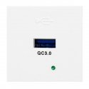 Orno NOEN USBQ, 45x45mm modulinis prievadas su 3A / 5V greito įkrovimo USB įkrovikliu 2A / 9V 1,5A /