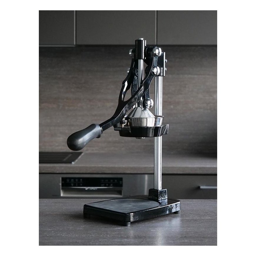 Zyle Professional citrus. fruit juicer, ZY503BCJ – 4