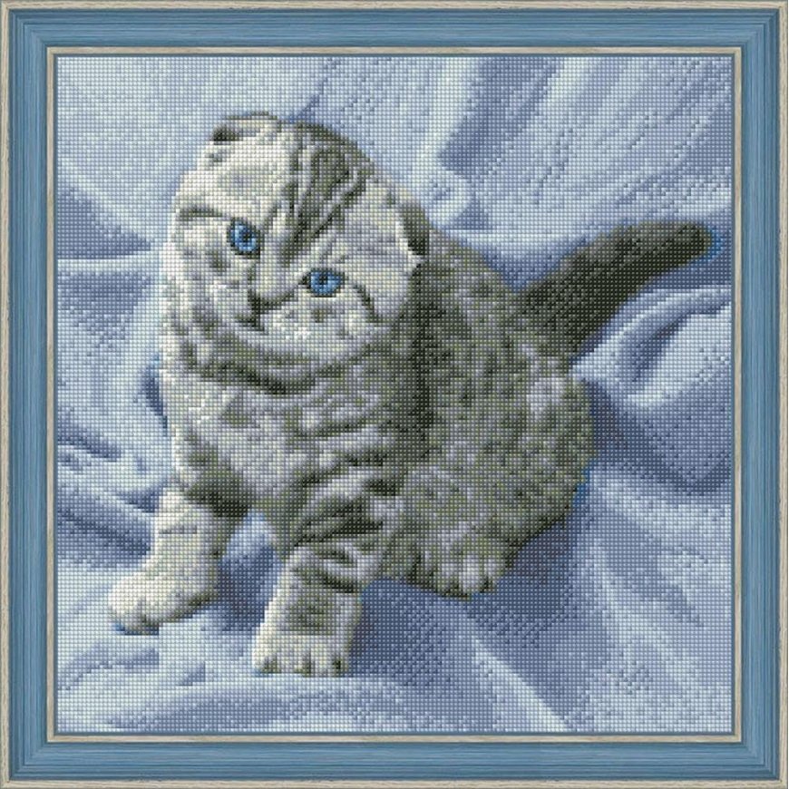 Beldizart Diamond painting kit kitten 40х40 cm AZ-1465 – 2