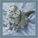 Beldizart Diamond painting kit kitten 40х40 cm AZ-1465