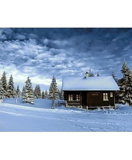 Beldizart Snow Valley 48*38 cm WD106