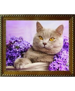 Beldizart Diamond painting kit Cat in the Lilac 40x30 cm AZ-1417