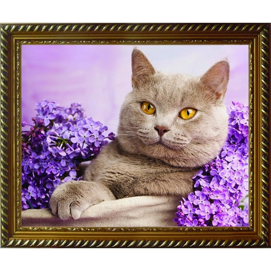 Beldizart Diamond painting kit Cat in