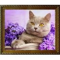 Beldizart Diamond painting kit Cat in the Lilac 40x30 cm AZ-1417