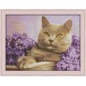 Beldizart Diamond painting kit Cat in the Lilac 40x30 cm AZ-1417