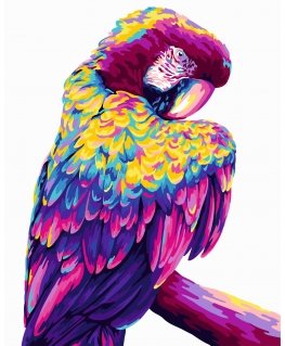 Beldizart Paint by numbers kit. H140 Parrot Pop Art 40*50