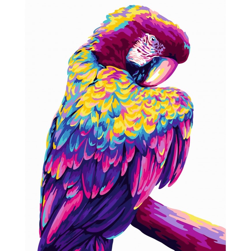 Beldizart Paint by numbers kit. H140 Parrot Pop Art 40*50