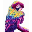 Beldizart Piešimo pagal skaičius rinkinys. H140 Parrot Pop Art 40*50 Beldizart Piešimo pagal skaičius rinkinys. H140 Parrot Pop Art 40*50