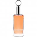 Karl Lagerfeld Classic Kvepalai Vyrams EDT 150ml Karl Lagerfeld Classic Kvepalai Vyrams EDT 150ml