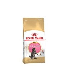 Royal Canin Maine Coon Kitten 2kg