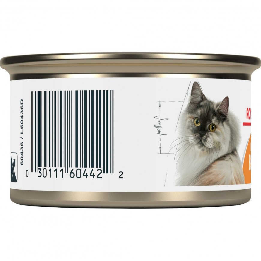 Royal Canin Maine Coon Kitten 2kg – 2
