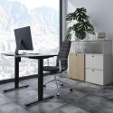 Ergo Office ER-443 stalo rėmas su 1 varikliu, juodas Ergo Office ER-443 stalo rėmas su 1 varikliu, juodas