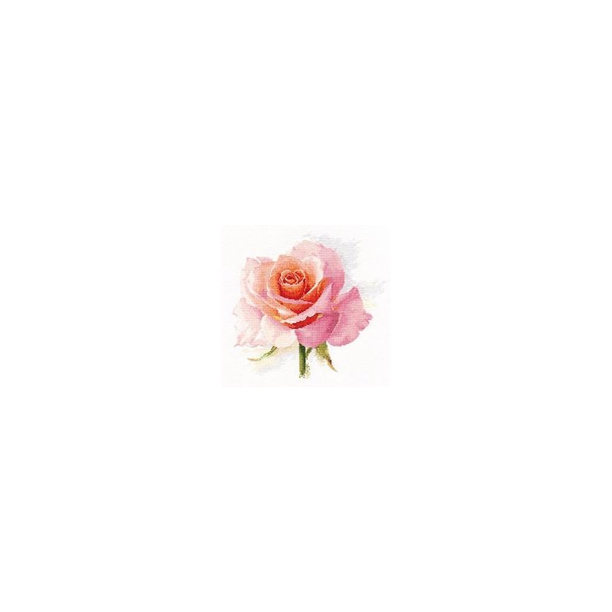 Beldizart Rose tenderness S2-40