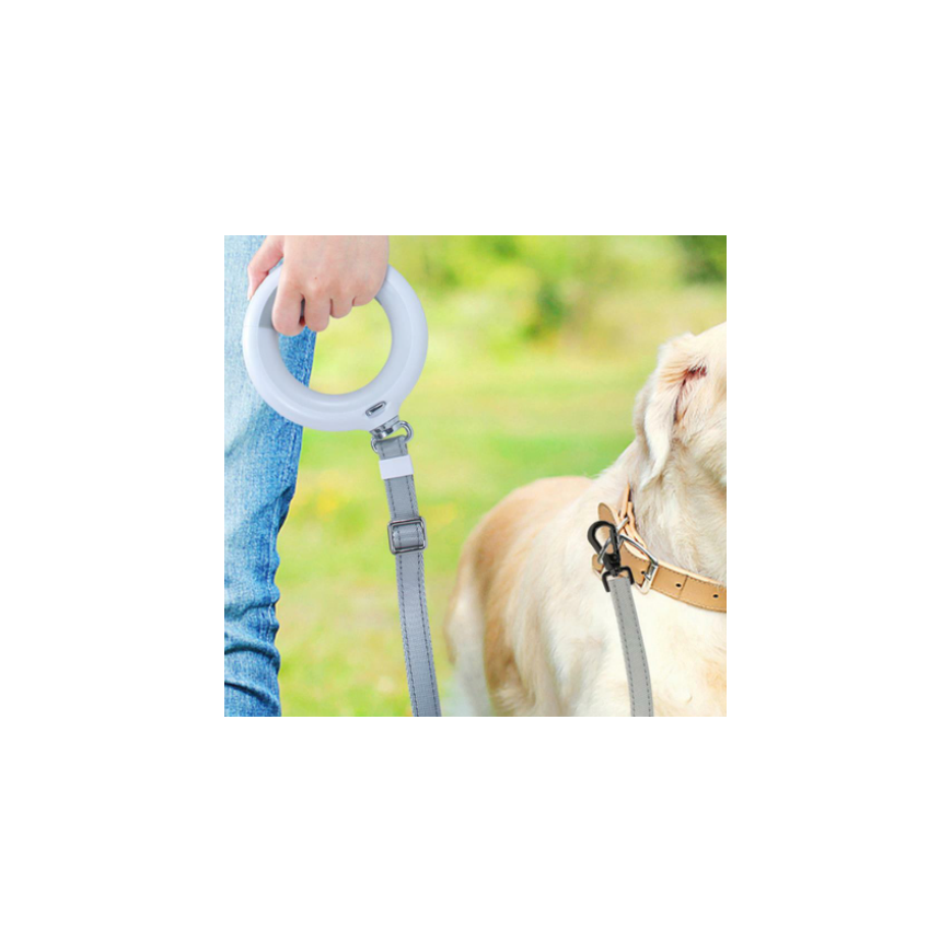 Doggy Village MT7129 Luminous leash grey – 3