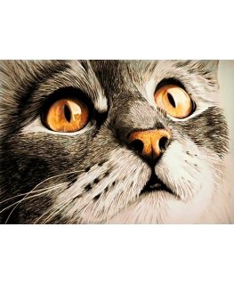 Beldizart Staigmena 30 х 20 cm WD215
