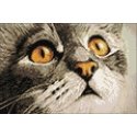 Beldizart Staigmena 30 х 20 cm WD215