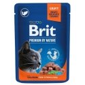 BRIT Premium Cat Salmon Sterilized - märg kassitoit - 100g BRIT Premium Cat Salmon Sterilized - märg kassitoit - 100g