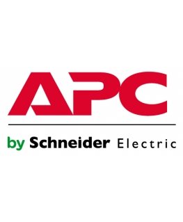 APC WSTRTUP-EZ-30 paslaugų diegimas