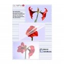 Olympia 1x50 DIN A3 125 micron ламинирующий карман 50 шт Olympia 1x50 DIN A3 125 micron ламинирующий карман 50 шт