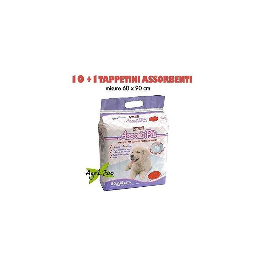 Record Podiums for dogs 60x90cm/11 vt