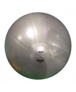 Gymnastics ball 65cm TOORX PRO AHF-148