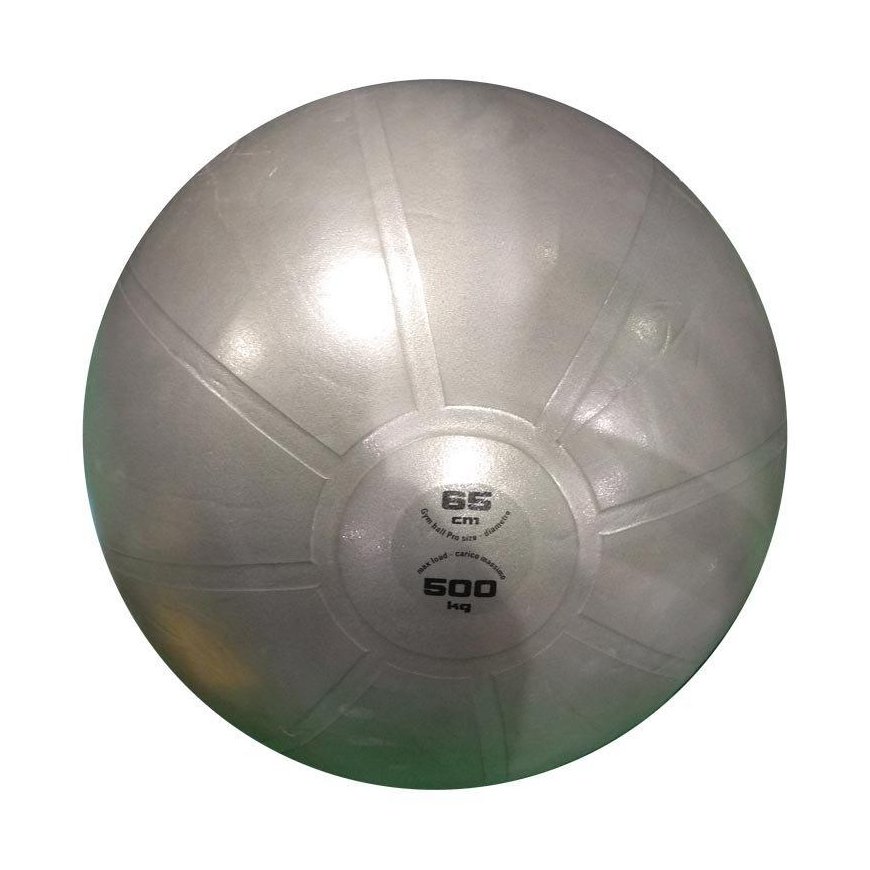 Gimnast. kamuolys 65cm TOORX PRO AHF-148