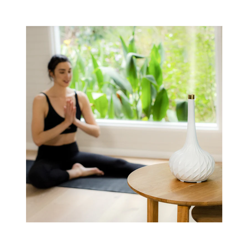 Hair dryer HoMedics Ellia ARM-508WT Harmony Aroma Diffuser – 2