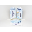 Babiators Accessories Pack - Ready to Fly Sunglasses Set Babiators Accessories Pack - Ready to Fly Sunglasses Set