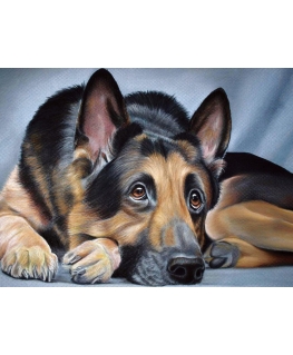 Beldizart Deimantinio dažymo rinkinys Aviganis 40х30 cm AZ-1418