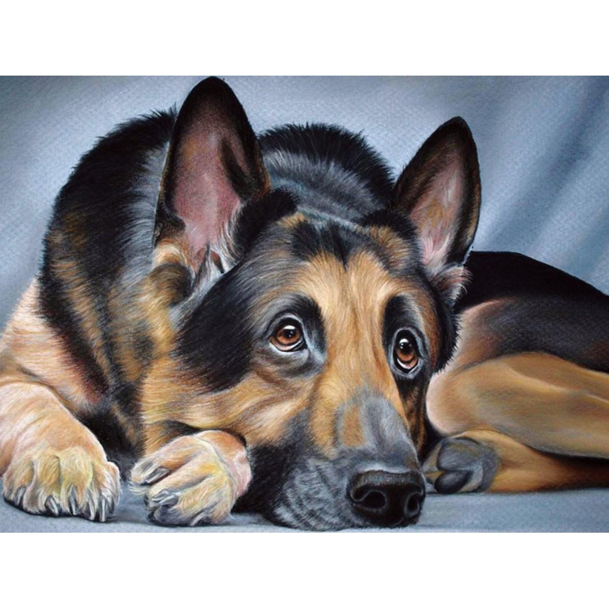 Beldizart Diamond painting set Shepherd 40х30
