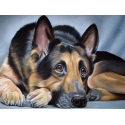 Beldizart Diamond painting set Shepherd 40х30 cm AZ-1418 Beldizart Diamond painting set Shepherd 40х30 cm AZ-1418