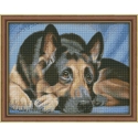 Beldizart Diamond painting set Shepherd 40х30 cm AZ-1418 Beldizart Diamond painting set Shepherd 40х30 cm AZ-1418