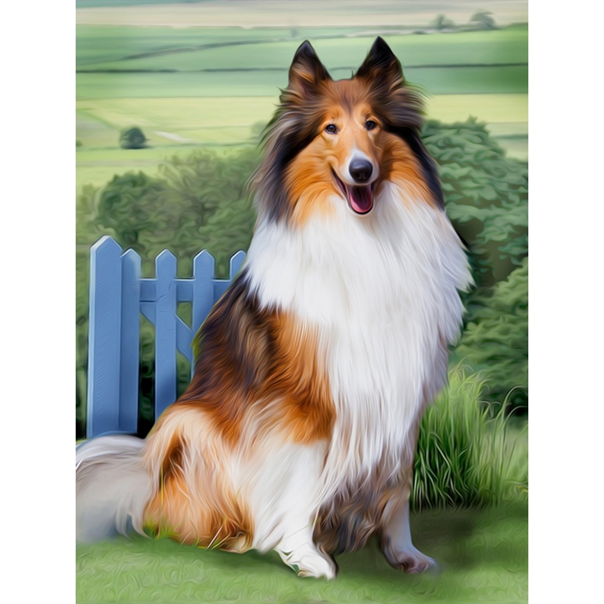 Beldizart Diamond painting set Collie 30х40