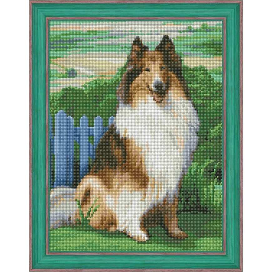 Beldizart Diamond painting set Collie 30х40 cm AZ-1464 – 2