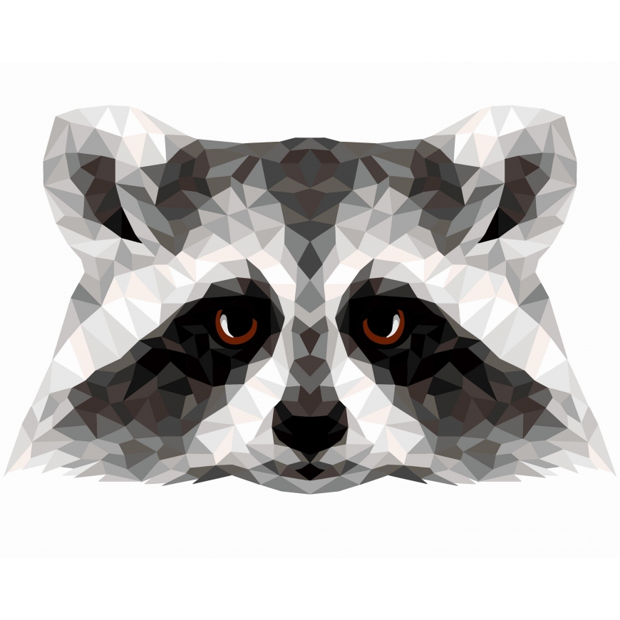 Beldizart (IŠPARDAVIMAS) Tapybos pagal numerius komplektas. P006 Raccoon (daugiakampio stiliaus) 40*50