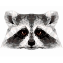 Beldizart (SALE) Paint by Number Kit. P006 Raccoon (polygon style) 40*50 Beldizart (SALE) Paint by Number Kit. P006 Raccoon (polygon style) 40*50