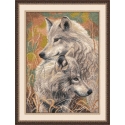 Beldizart Wolfish Faith S711