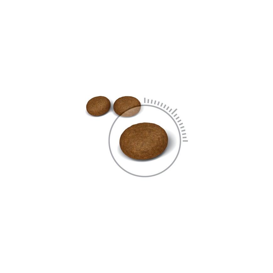 Royal Canin Hair & Skin Care kuivtoit kassile 2 kg Täiskasvanu – 3