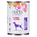 4VETS Natural Gastro Intestinal Dog - märg koeratoit - 400 g