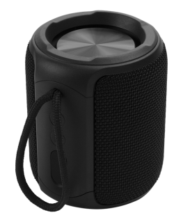 STREETZ waterproof Bluetooth speaker, TWS, 10 W, IPX7, 3.5 mm ,, AUX, with microphone, black CM765