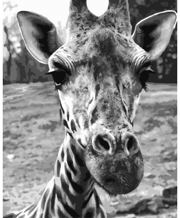 Beldizart Paint by numbers kit. F010 Curious giraffe 40*50