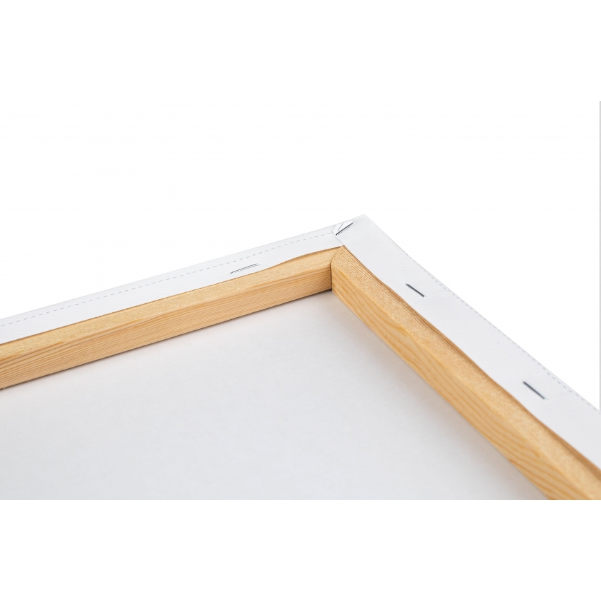 Beldizart Paint by numbers kit. F010 Curious giraffe 40*50 – 5