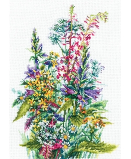 Beldizart Wild flowers SANP-50
