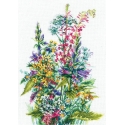 Beldizart Wild flowers SANP-50