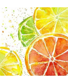 Beldizart Citrusinių vaisių mišinys 20*20 cm WD289
