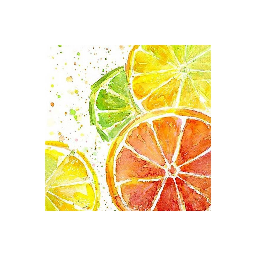 Beldizart Citrus fruit mix 20*20 cm WD289