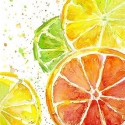 Beldizart Citrusinių vaisių mišinys 20*20 cm WD289