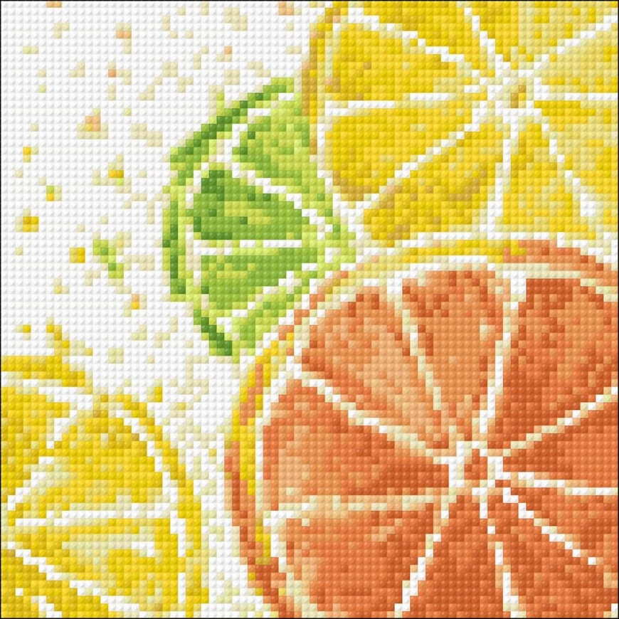 Beldizart Citrus fruit mix 20*20 cm WD289 – 2