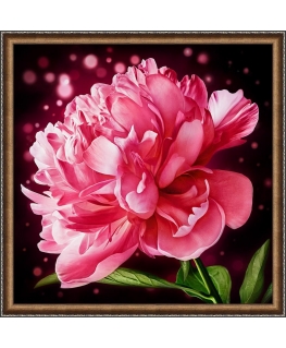 Beldizart Sparkling peony 25x25 cm AZ-1784